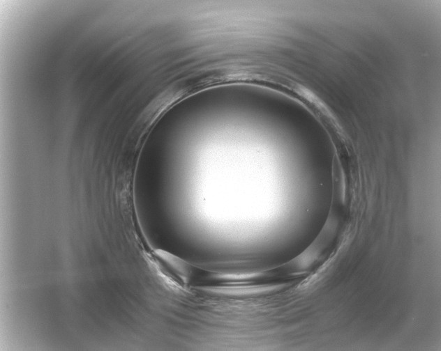 X0000066000801200603101529