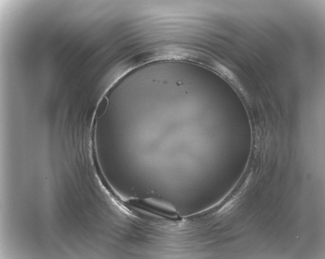 X0000066000802200603101529