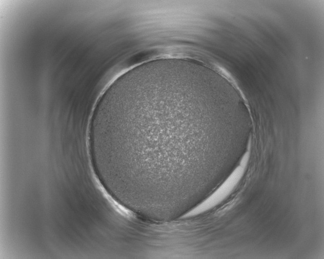 X0000066000803200603101529