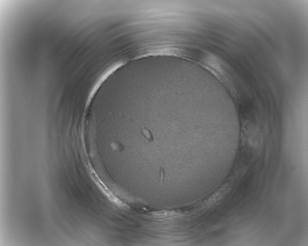 X0000066000804200603101529