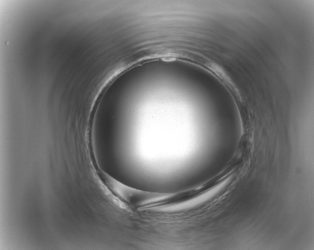 X0000066000805200603101529