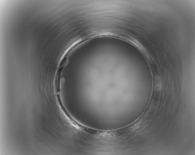 X0000066000806200603101529