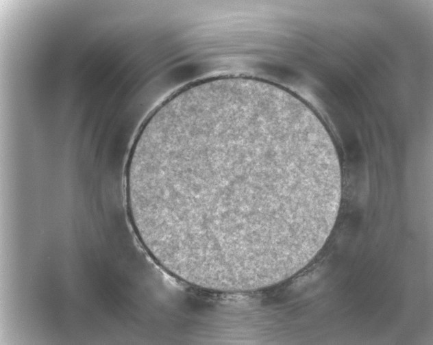 X0000066000807200603101529