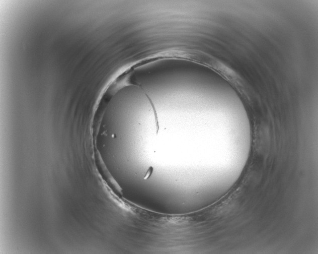 X0000066000808200603101529