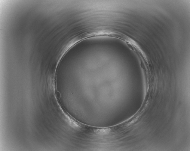 X0000066000810200603101529