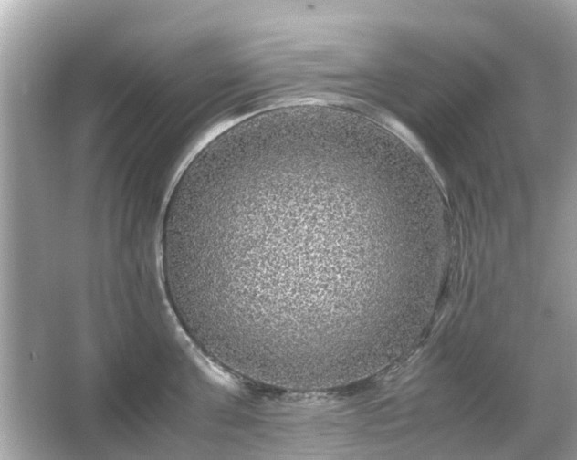 X0000066000811200603101529