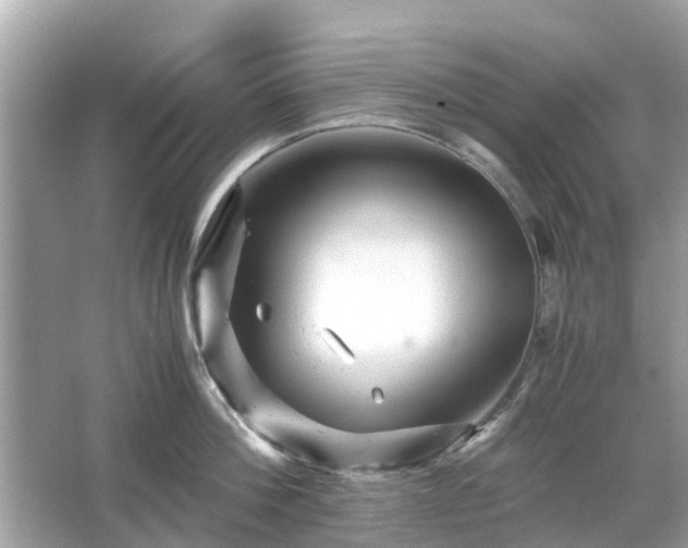 X0000066000812200603101529