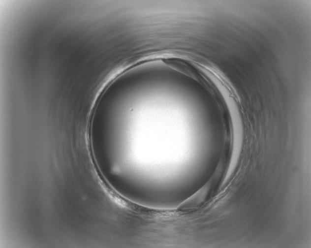 X0000066000813200603101529