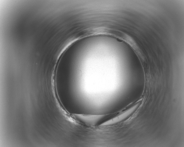 X0000066000814200603101529