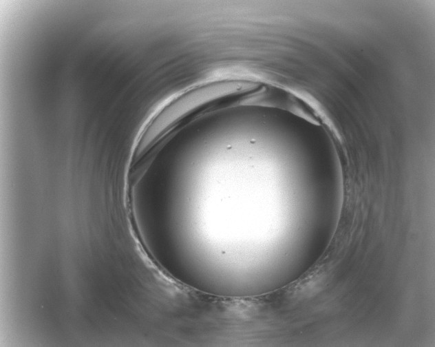 X0000066000815200603101529