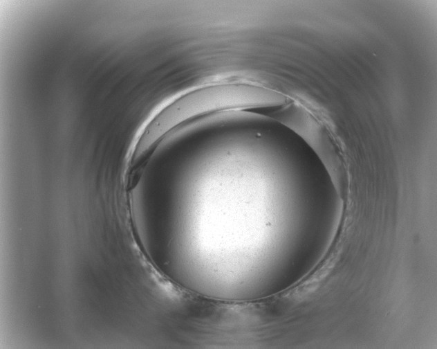 X0000066000816200603101529