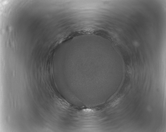 X0000066000818200603101528