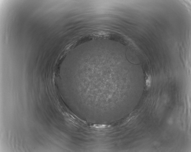 X0000066000819200603101528