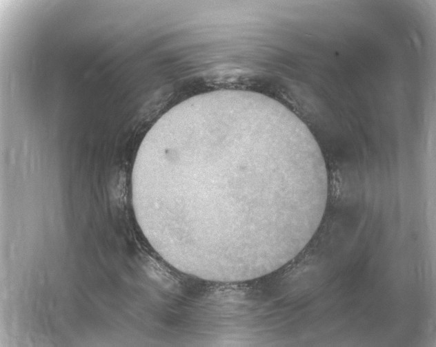 X0000066000820200603101528