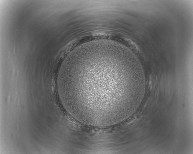 X0000066000821200603101528