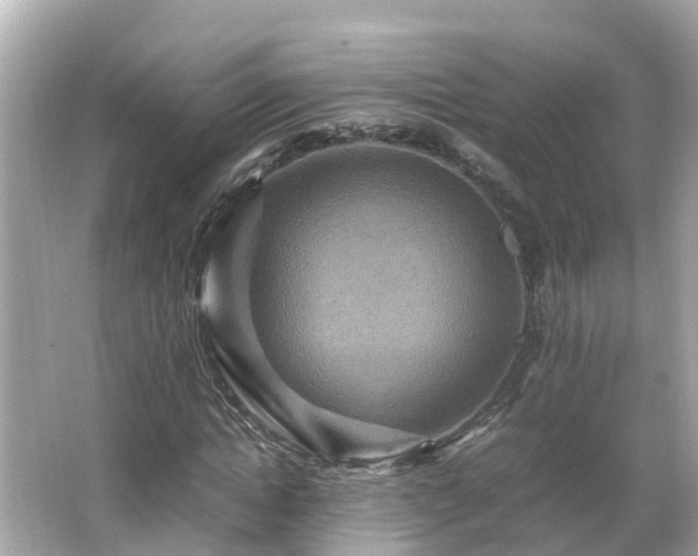 X0000066000822200603101528