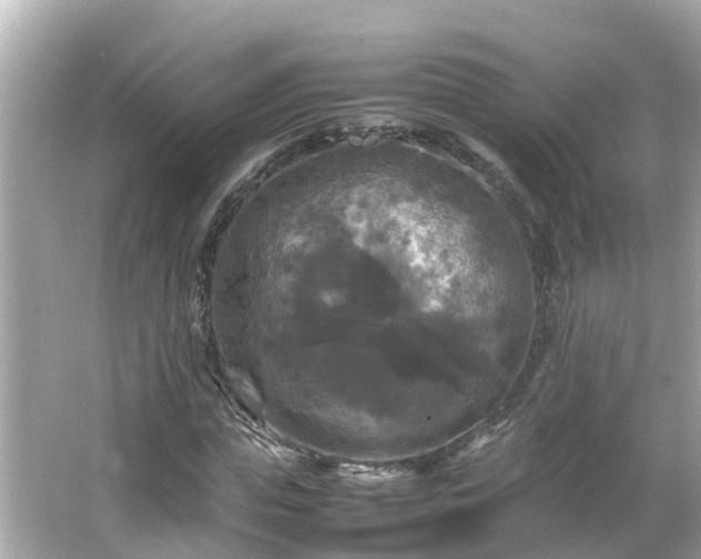 X0000066000823200603101528