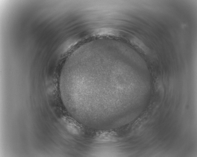 X0000066000824200603101528