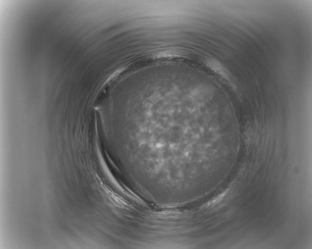 X0000066000825200603101528