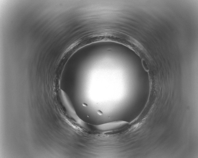 X0000066000826200603101528