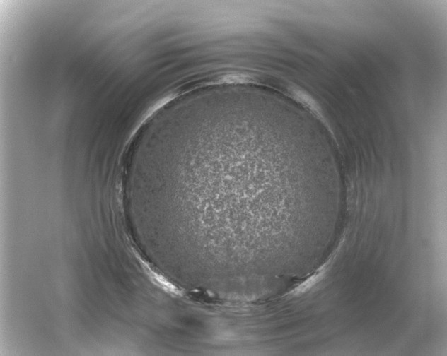 X0000066000827200603101528