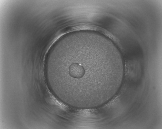 X0000066000828200603101528