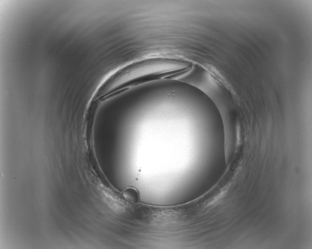 X0000066000830200603101528