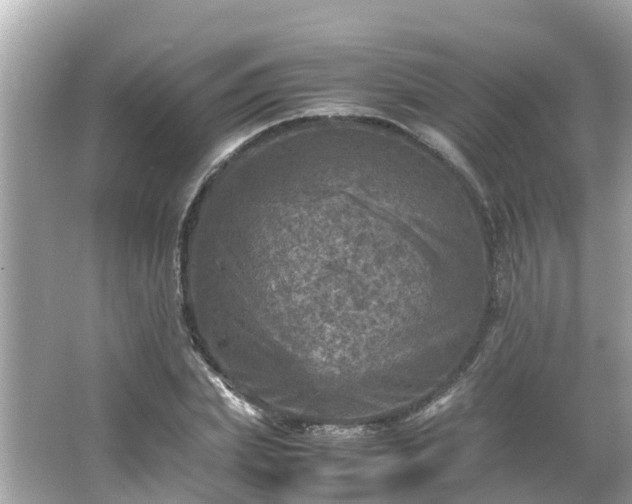 X0000066000831200603101528