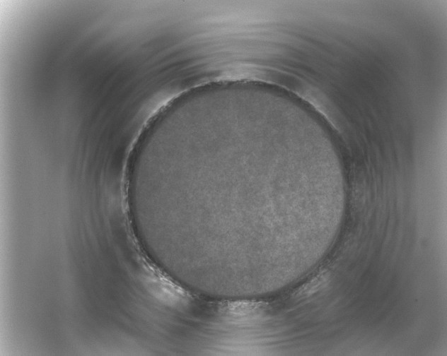 X0000066000832200603101528