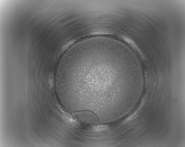 X0000066000833200603101528