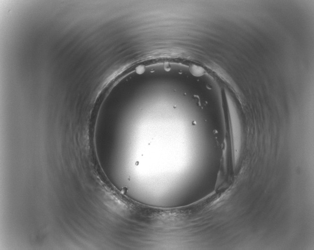 X0000066000834200603101528