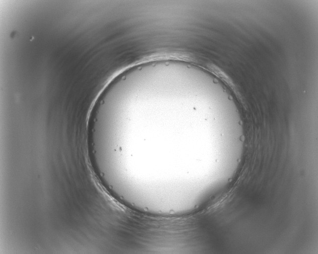 X0000066000836200603101528