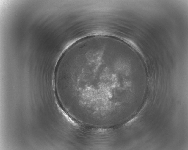 X0000066000839200603101528