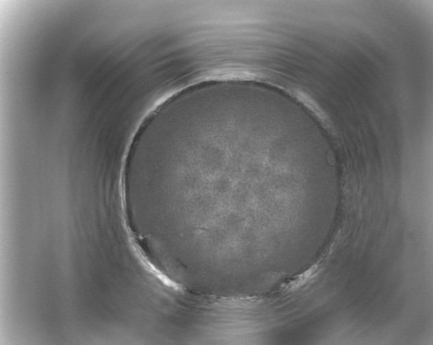 X0000066000840200603101528