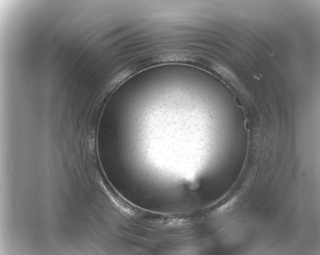 X0000066000841200603101528