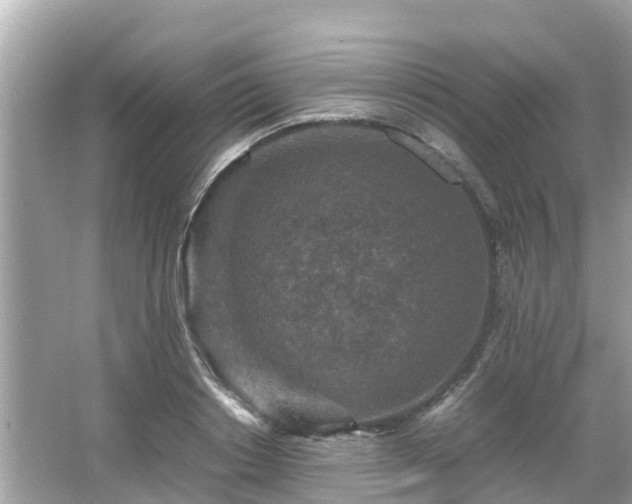 X0000066000842200603101528