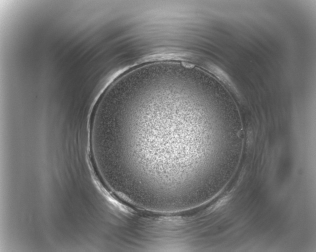 X0000066000844200603101528