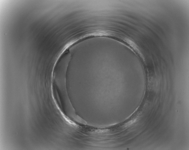 X0000066000845200603101528