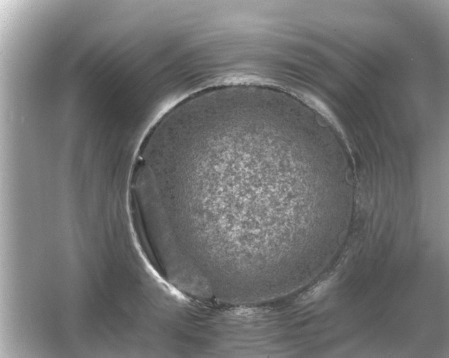 X0000066000847200603101528