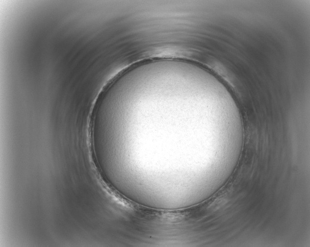 X0000066000848200603101529