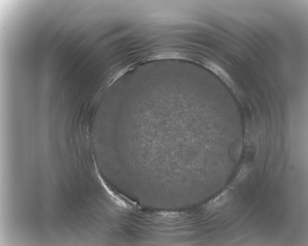 X0000066000849200603101529