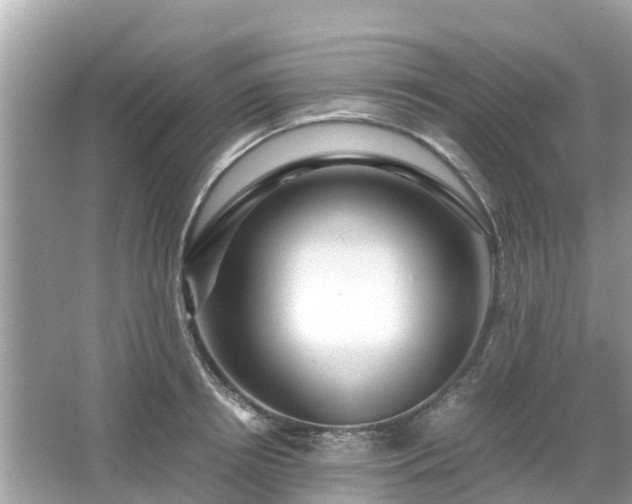 X0000066000850200603101529