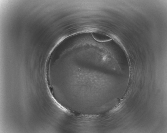 X0000066000851200603101529