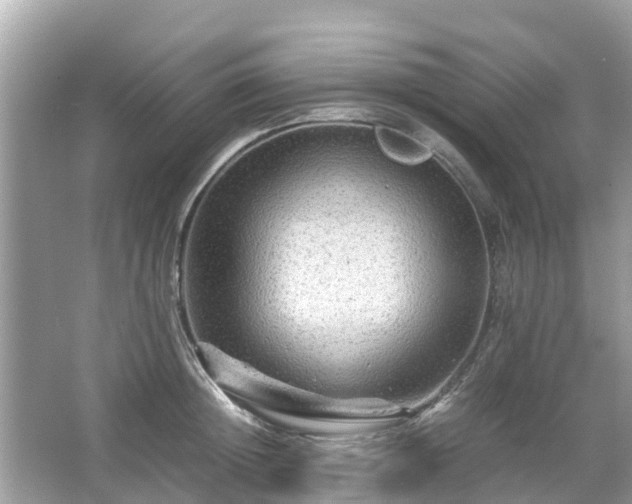 X0000066000852200603101529