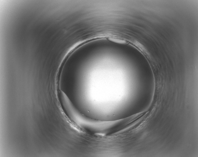 X0000066000854200603101529