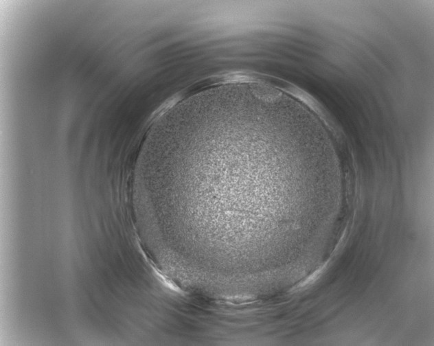 X0000066000857200603101529