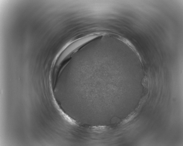 X0000066000859200603101529