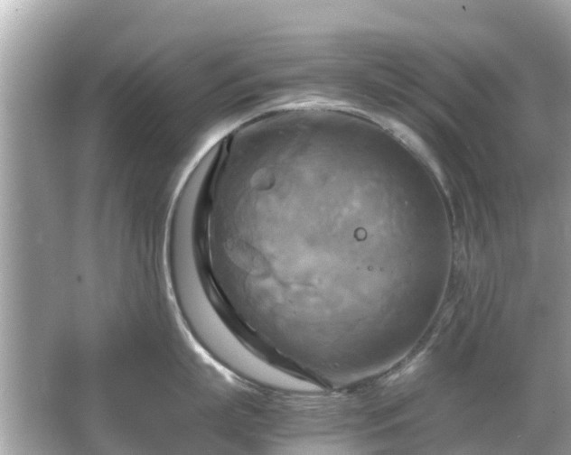 X0000066000863200603101529