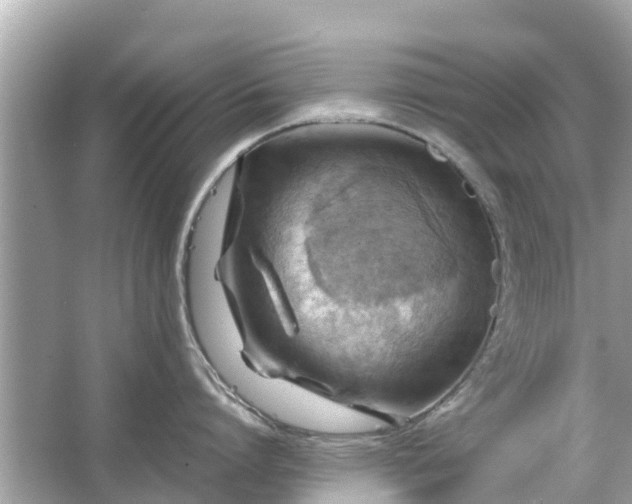 X0000066000864200603101529