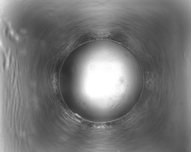 X0000066000866200603101528